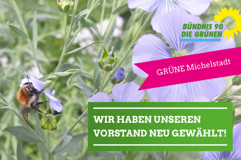 GRÜNE Michelstadt bestätigen Vorstand