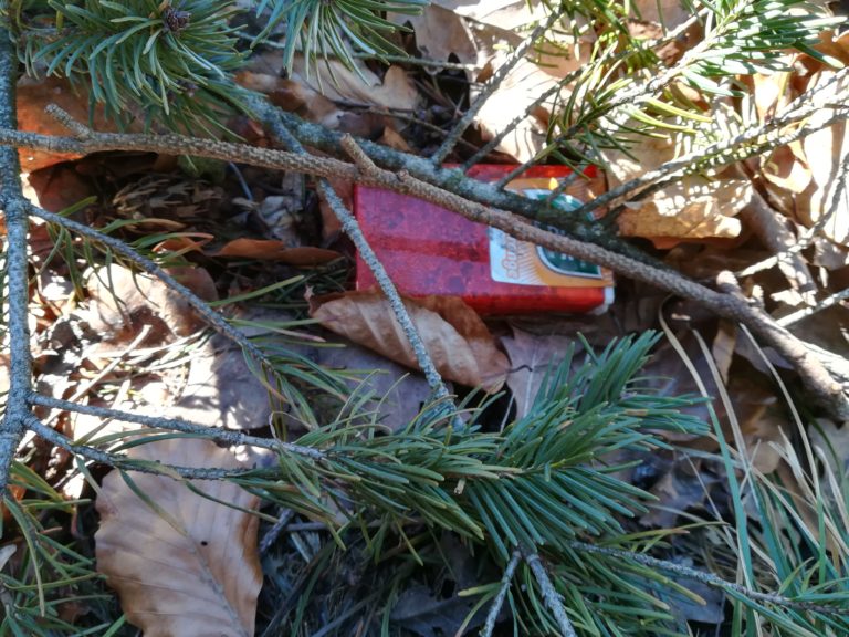 Amphibien und der Müll am großen See zwischen Steinbach und Rehbach