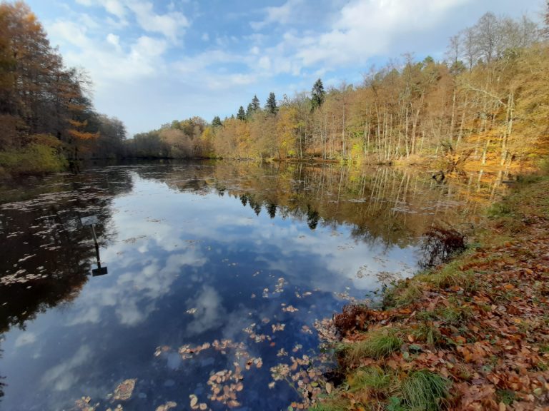 20.02.2021 um 10:00 Uhr: Müll entsorgen am Kröten-Laichgewässer