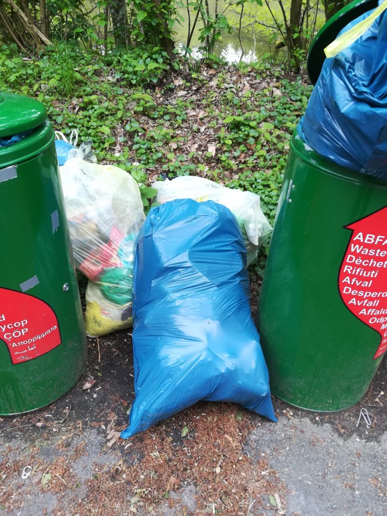 Amphibien und der Müll am großen See zwischen Steinbach und Rehbach